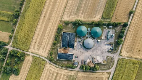 Widok z góry na biogazownię rolniczą: koła zielonych i szarych kopuł, prostokątne pryzmy kiszonki pod folią i pasy pól kukurydzy.