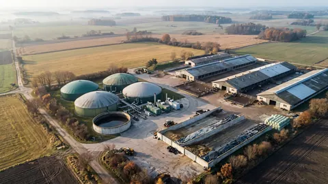Biogazownia przy fermie bydła mlecznego jesienią z lotu ptaka: cztery kopuły fermentorów, obory, plac kiszonkowy i złote pola we mgle.