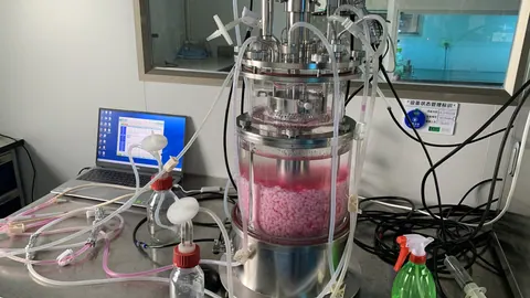 Pracujący szklany bioreaktor z mieszadłem, sondami i przewodami na stole laboratoryjnym obok komputera sterującego hodowlą.