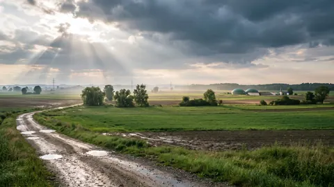 Promienie słońca przebijają chmury nad mokrą równiną rolniczą, w oddali niewielka biogazownia z zielonymi kopułami.