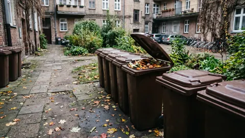 Brązowe pojemniki na bioodpady na podwórku osiedla, w jednym widoczne obierki i resztki jedzenia, jesienne liście.