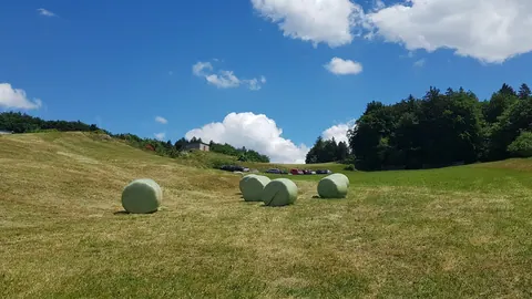 Owinięte folią bele sianokiszonki na zielonym zboczu Mont Pèlerin w Szwajcarii, w tle las i letnie niebo z obłokami.