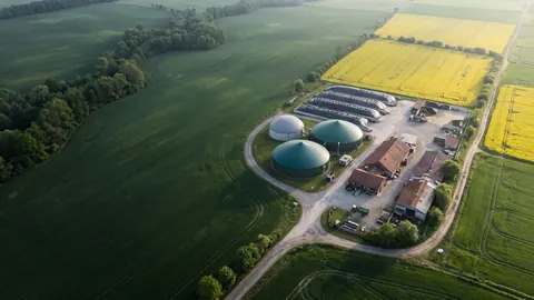 Widok z lotu ptaka na biogazownię rolniczą wśród kwitnącego rzepaku i młodej kukurydzy: kopuły fermentorów, pryzmy kiszonki pod folią, zabudowania.