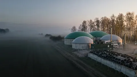 Biogazownia rolnicza o świcie: zielone i szare kopuły zbiorników fermentacyjnych, kontener CHP i plac kiszonkowy z oponami, nad polem gęsta mgła.