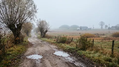 Mglisty jesienny poranek nad polską wsią: polna droga z kałużami, stare wierzby i w oddali kopuły biogazowni.