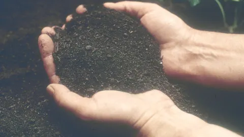 Dłonie trzymające garść ciemnej, próchnicznej gleby nad grządką – symbol żyzności i nawożenia organicznego.