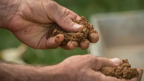 Dłonie przesiewające jasną, gruzełkowatą glebę uprawną nad metalową skrzynką z próbką ziemi w ciepłym świetle.
