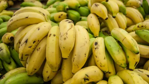 Kiście bananów odmiany Cavendish w różnym stopniu dojrzałości – od zielonych po żółte z brązowymi plamkami.