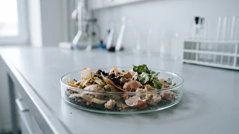 Szalka Petriego z próbką bioodpadów komunalnych: obierkami warzyw, fusami z kawy, skorupkami jaj, pieczywem i liśćmi.