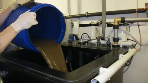 Wlewanie osadu czynnego z niebieskiego pojemnika do zbiornika reaktora membranowego w laboratorium oczyszczalni.