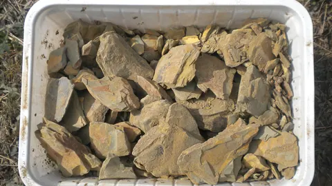 Bryłki ziemi folerskiej (multani mitti) w pojemniku – glinki z grupy ziem odbarwiających stosowanych m.in. przy rafinacji olejów.