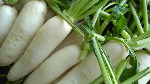 Pęczek białych, wydłużonych korzeni rzodkwi (Raphanus sativus) z zielonymi ogonkami liściowymi na straganie.