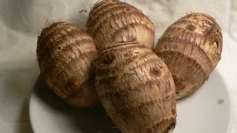 Bulwy taro (kolokazji) o brązowej, pierścieniowatej skórce z resztkami korzeni, ułożone na talerzu.
