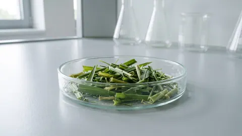 Szalka Petriego z pociętymi, świeżymi liśćmi i źdźbłami tropikalnej trawy Alemán (Echinochloa polystachya).