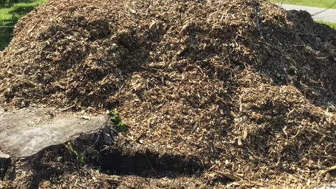 Pryzma świeżych zrębków drzewnych złożona na trawniku przy ogrodzie, z widocznymi kawałkami kory i drewna.