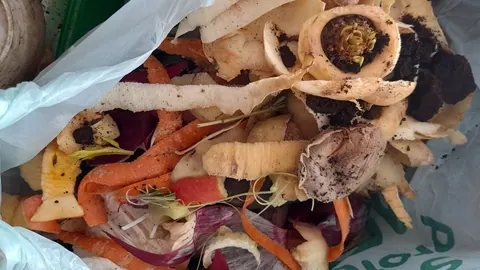 Worek biodegradowalny wypełniony obierkami warzyw i fusami z kawy, przygotowany do zbiórki bioodpadów kuchennych.